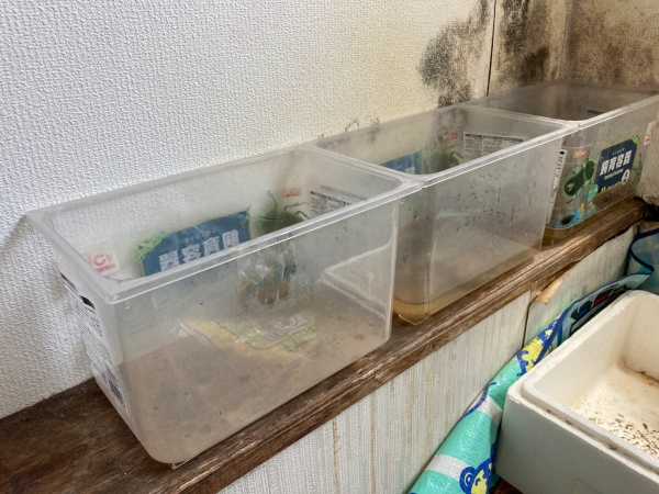名古屋市東区で雨漏り発生　原因は屋上防水の劣化でした