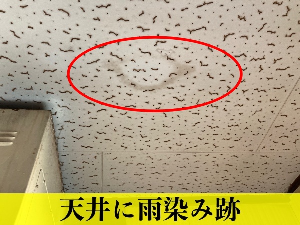 名古屋市守山区で金属屋根からの雨漏り点検をしてきました