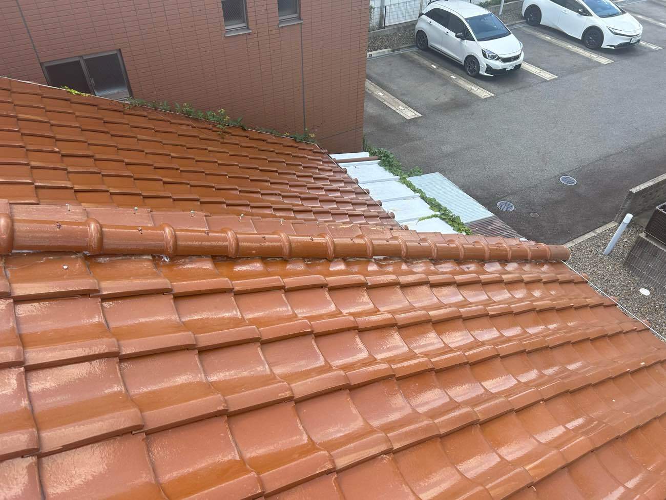 完了