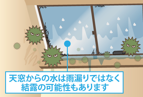 天窓からの水は雨漏りではなく、結露の可能性もあります